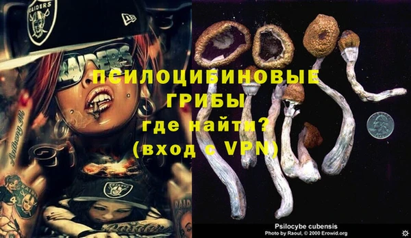 экстази Белокуриха