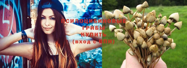каннабис Беломорск