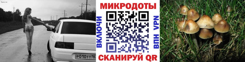 наркота  Киреевск  Псилоцибиновые грибы мухоморы 